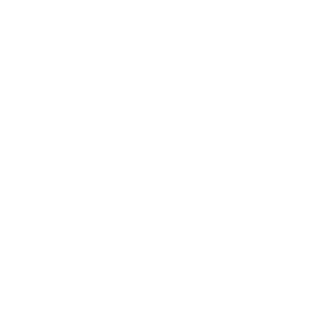 Nivelles logo blanc